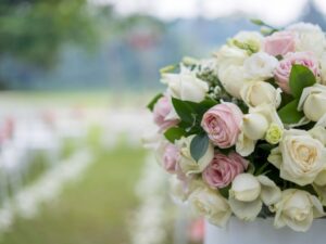 Unlocking Elegance: What Are Escort Cards at a Wedding?